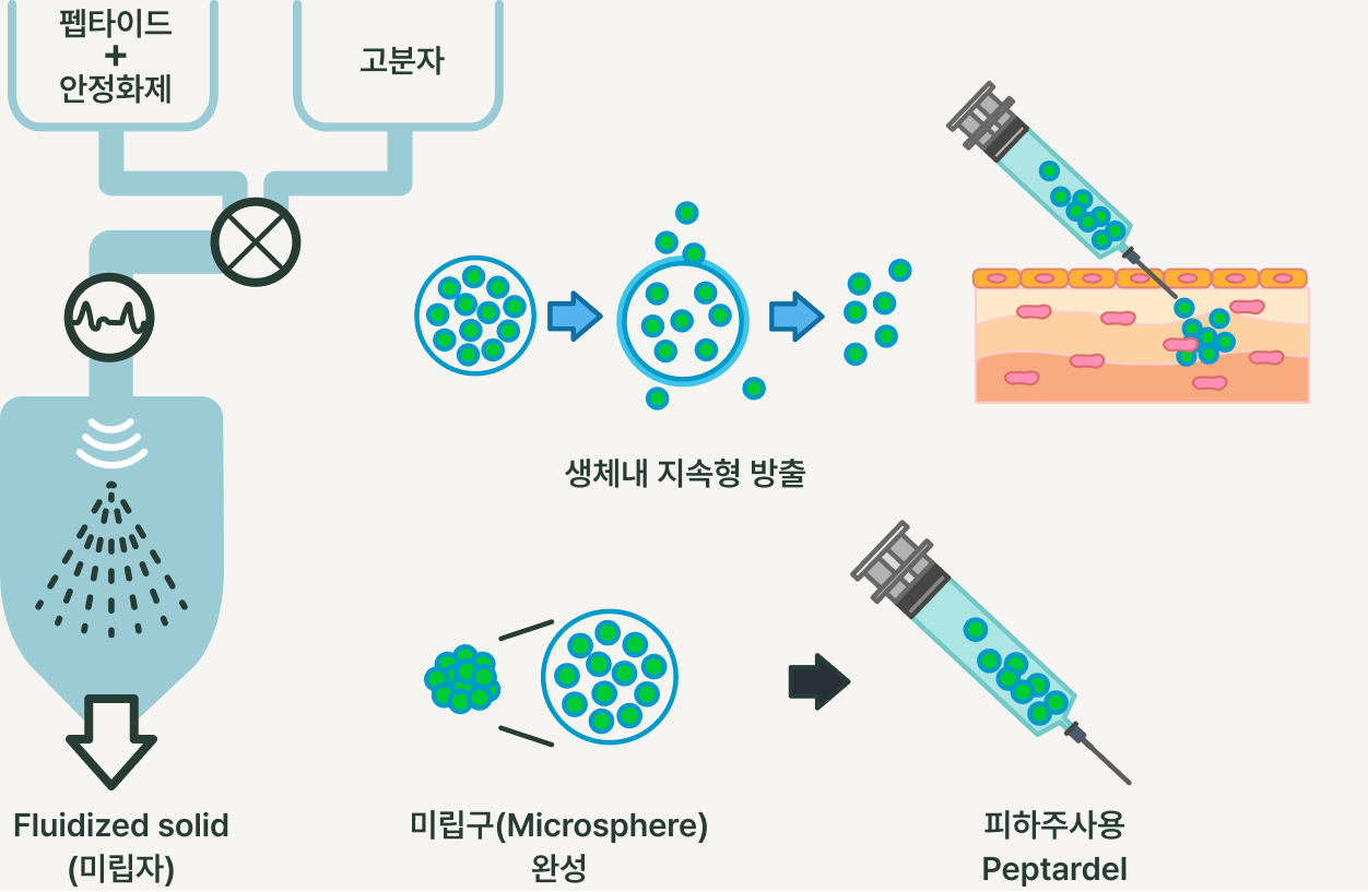 PEPTARDEL-S 지속형 약물전달 프로세스