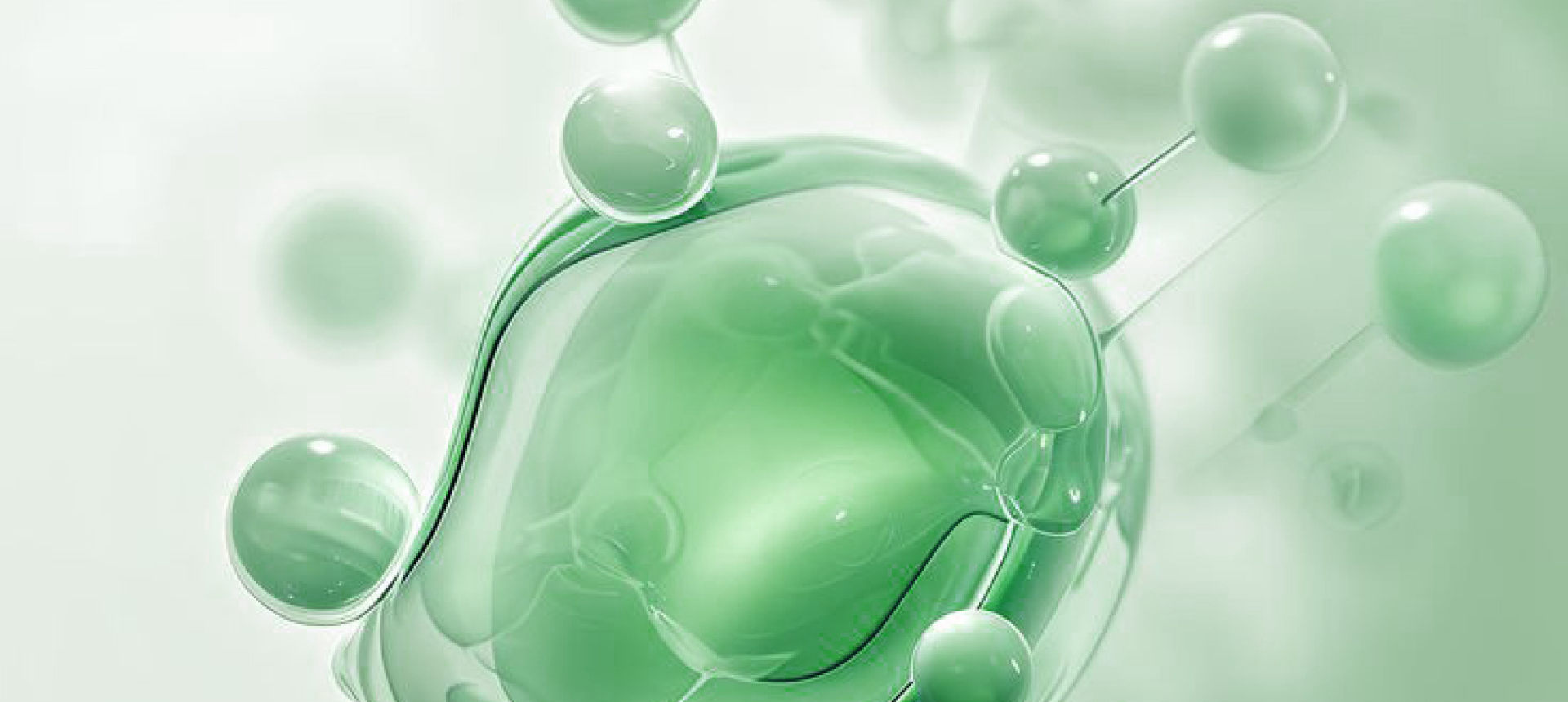 광반응성 재생 디바이스 PeptiCol Ezgraft