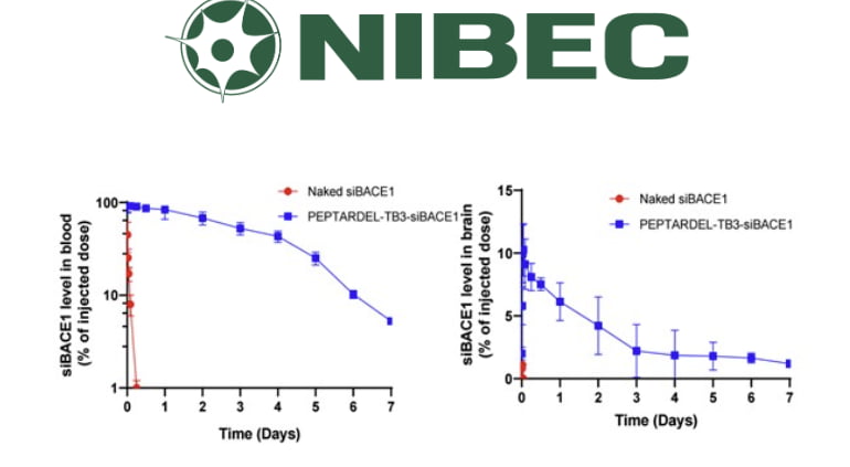나이벡, siRNA 치료제 뇌 전달 전임상 성과 공개… 행동지표 개선까지 확인